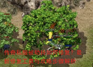 ����˽�����ٳ�����޸��������޸������빥�Բ������