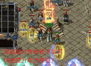 ΢����´���������ο�������ս���ȼ���