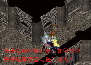 ����˽���·���������ο��ٻ�ȡϡ��װ��������ս����