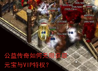 ���洫��������޻�ȡԪ����VIP��Ȩ��