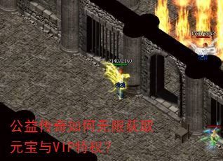 ���洫��������޻�ȡԪ����VIP��Ȩ��