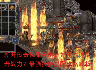 �¿�����˽���ϻ�sf��ο�������ս������ǿ���ܴ��乥�Խ���