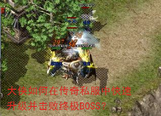 ��������ڴ���˽���п��������������ռ�BOSS��