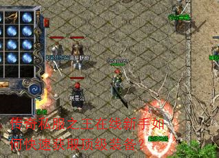 ����˽��֮������������ο��ٻ�ȡ����װ����