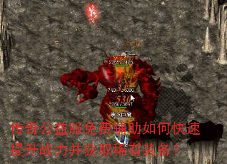 ���湫�����Ѹ�����ο�������ս������ȡϡ��װ����