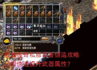 ��Ѫ����˽��װ�����칥����ο��������������ԣ�