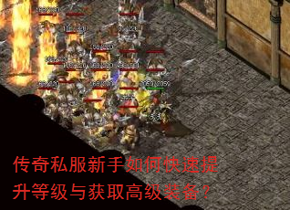 ����˽��������ο��������ȼ����ȡ�߼�װ����