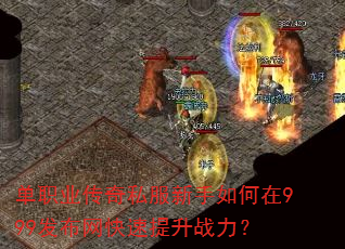 ��ְҵ����˽�����������999��������������ս����