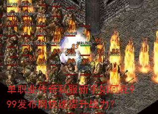 ��ְҵ����˽�����������999��������������ս����