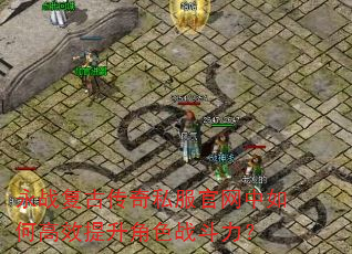 ��ս���Ŵ���˽����������θ�Ч������ɫս������