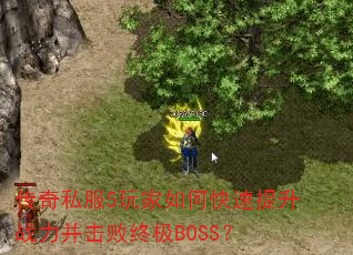 ����˽��5�����ο�������ս���������ռ�BOSS��