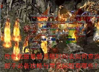 ����˽�����¿���ʱ�����β�ѯ�����ֱر������볣����������Щ��