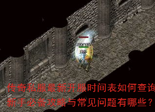 ����˽�����¿���ʱ�����β�ѯ�����ֱر������볣����������Щ��