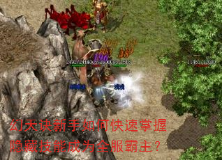 �����������ο����������ؼ��ܳ�Ϊȫ��������