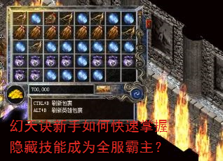 �����������ο����������ؼ��ܳ�Ϊȫ��������