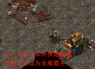 �����������ο����������ؼ��ܳ�Ϊȫ��������