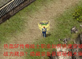 ��ѪSF����սʿְҵ��ο���ͻ��ս��ƿ��������װ����ȡ�ؼ������