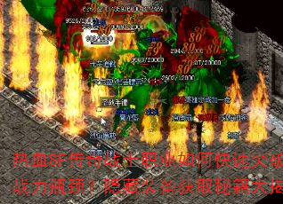 ��ѪSF����սʿְҵ��ο���ͻ��ս��ƿ��������װ����ȡ�ؼ������