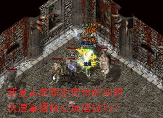 �¸��ŵ�ְҵ����SF��ο������պ����淨���ɣ�