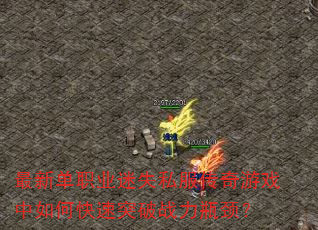 ���µ�ְҵ��ʧ˽��������Ϸ����ο���ͻ��ս��ƿ����