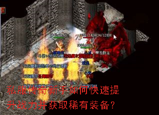 ˽������������ο�������ս������ȡϡ��װ����