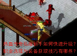 ��Ѫ����˽��������ο���������ְҵѡ����װ����ȡ��������Щ��