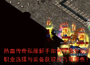 ��Ѫ����˽��������ο���������ְҵѡ����װ����ȡ��������Щ��