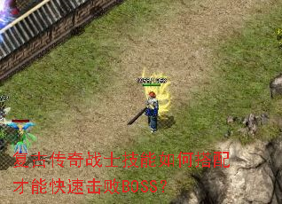 ���Ŵ���սʿ������δ�����ܿ��ٻ���BOSS��