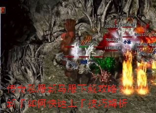 ����˽�����������ع��ԣ�������ο������ּ��ɽ���