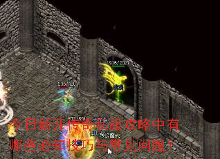 �����¿�����˽������������Щ��֪�����볣�����⣿