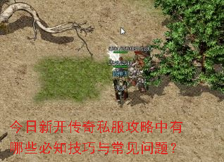 �����¿�����˽������������Щ��֪�����볣�����⣿