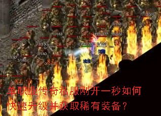 ��ְҵ����˽���տ�һ����ο�����������ȡϡ��װ����