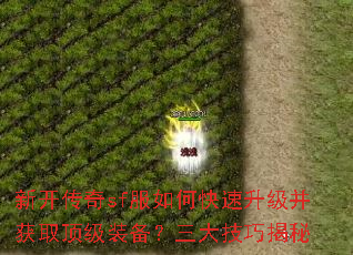 �¿�����sf����ο�����������ȡ����װ���������ɽ���