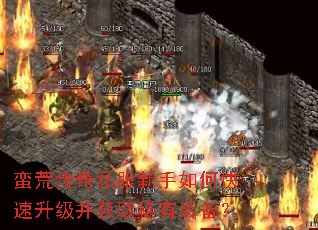 ���Ĵ���˽��������ο�����������ȡϡ��װ����