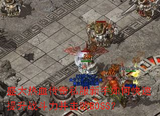 ʢ����Ѫ����˽��������ο�������ս����������BOSS��