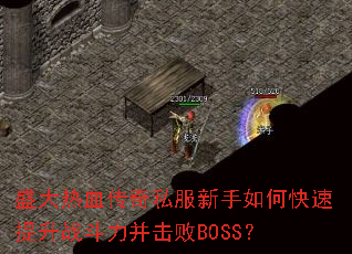 ʢ����Ѫ����˽��������ο�������ս����������BOSS��