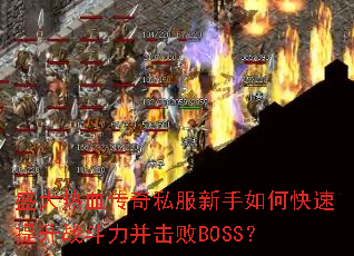 ʢ����Ѫ����˽��������ο�������ս����������BOSS��