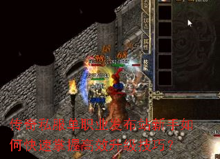 ����˽����ְҵ����վ������ο������ո�Ч�������ɣ�