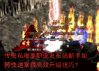 ����˽����ְҵ����վ������ο������ո�Ч�������ɣ�