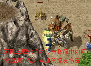 ��Ĭ��ְҵ�汾����˽������ο���������ʦְҵ�ı����˺���