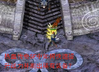 ��Ѫ����SF����ο�������ս����ˢ��ϡ��װ����