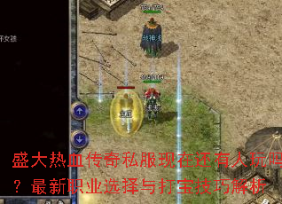 ʢ����Ѫ����˽�����ڻ�������������ְҵѡ����򱦼��ɽ���