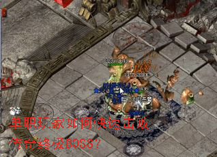 ��ְ�����ο��ٻ��ܴ����ռ�BOSS��