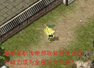 ���µ�ְ������Ϸ��ο�������ս����Ϊȫ��������ң�