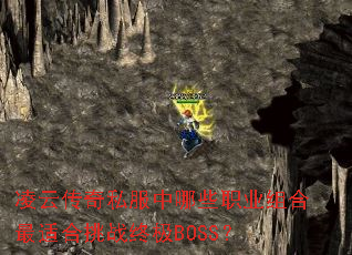 ���ƴ���˽������Щְҵ������ʺ���ս�ռ�BOSS��