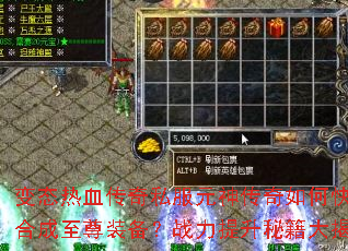 ��̬��Ѫ����˽��Ԫ������ο��ٺϳ�����װ����ս�������ؼ������