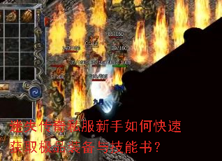 ��ʧ����˽��������ο��ٻ�ȡ��Ʒװ���뼼���飿