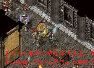 �Ϸɷ�˽��������Ϸ��ο�����������ȡ����װ�������ܴ����븱������ȫ������