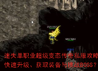 ��ʧ��ְҵ������̬����˽�����ԣ���ο�����������ȡװ������սBOSS��