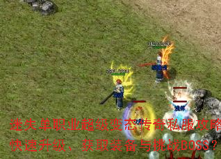 ��ʧ��ְҵ������̬����˽�����ԣ���ο�����������ȡװ������սBOSS��